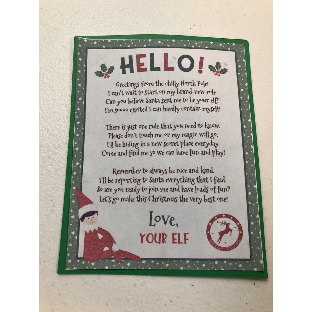 14” Christmas Elf Cam Plush Boy Doll Xmas Ball Kids Holiday Fun Greenbrier - Picture 4 of 4